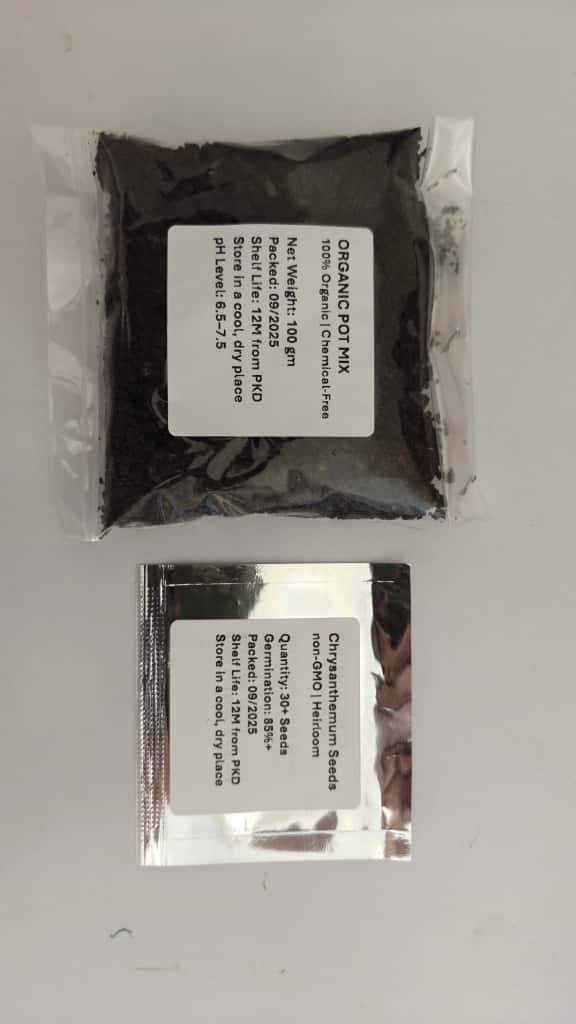 Double-Petal Chrysanthemums Seeds + 100 grams Organic Pot Mix Free