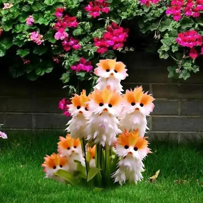 Cat Eye Dazzle Seeds + Plant Growth Serum Free