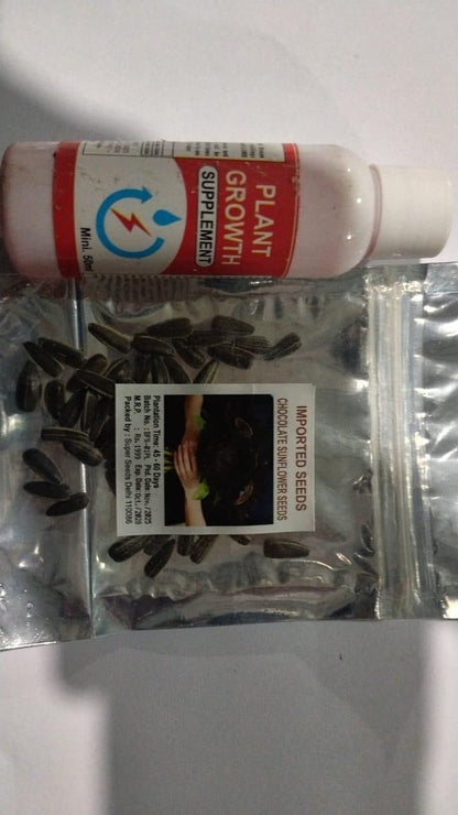 Chocolate Sunflower Seeds